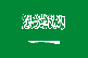 Flag: Saudi Arabia