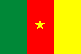 Flag: Cameroon